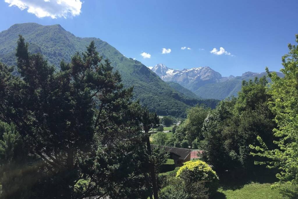 Chalet De L'Ours Brun, Gite 3 Etoiles Gere-Belesten Exterior photo